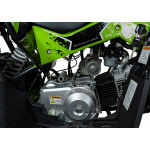 Detská štvorkolka ATV RENEGADE HIPERFECT 110CC- zelená 